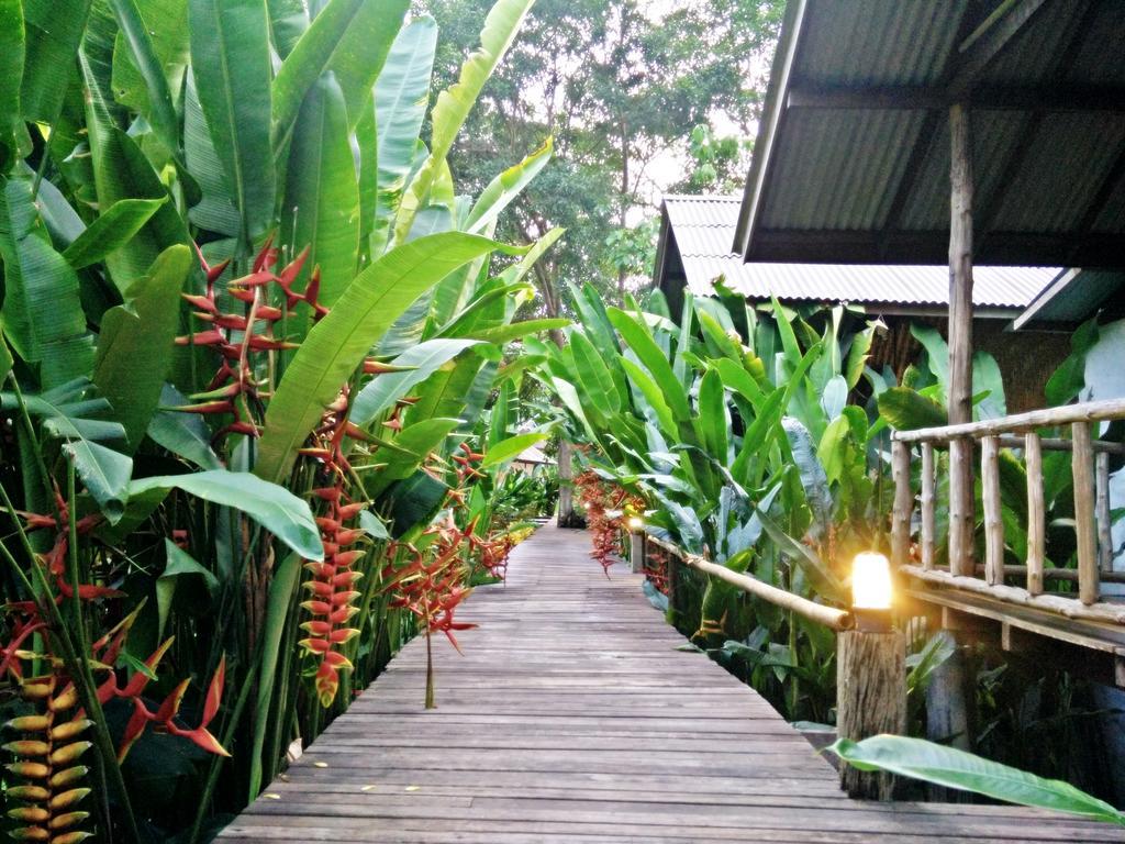 Khao Sok Cabana Resort Khao Sok National Park Zewnętrze zdjęcie