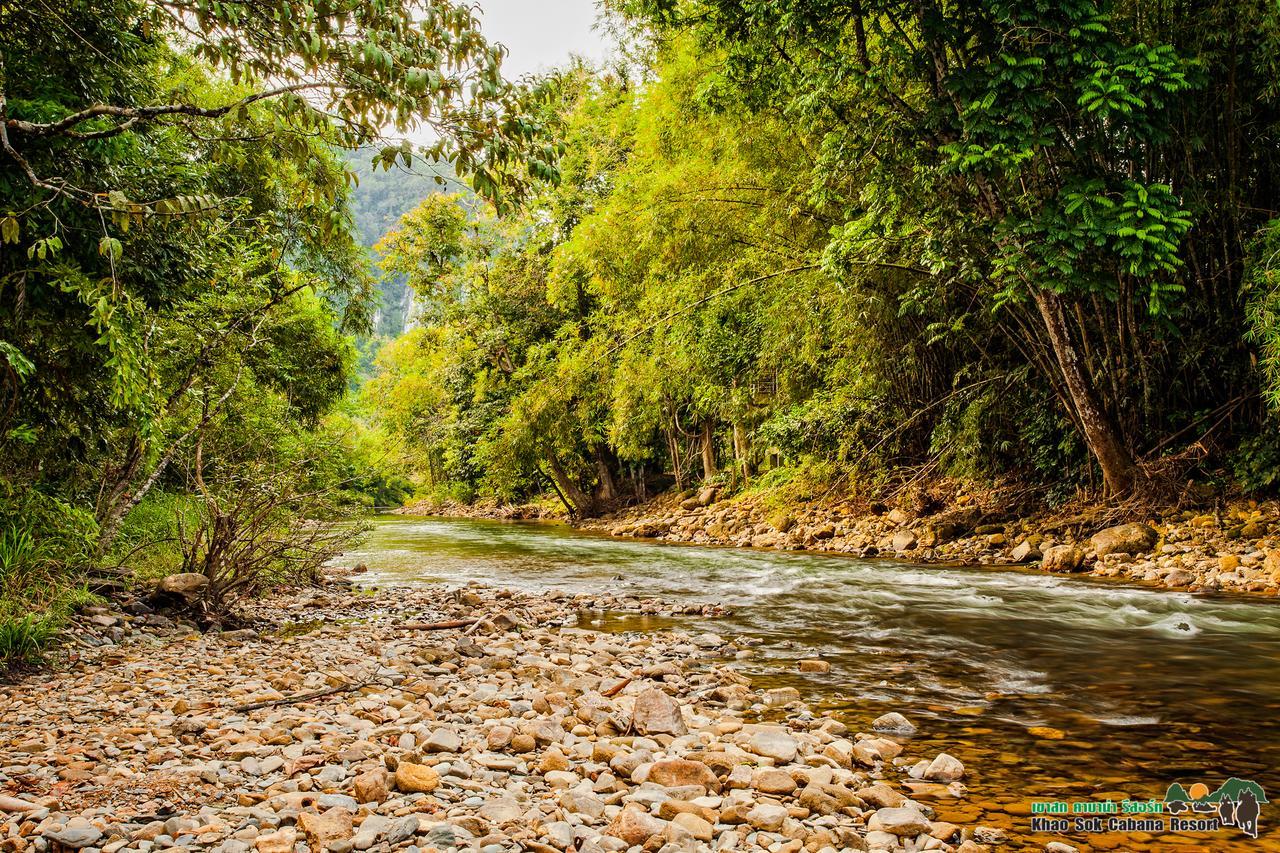Khao Sok Cabana Resort Khao Sok National Park Zewnętrze zdjęcie