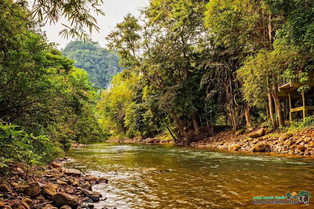 Khao Sok Cabana Resort Khao Sok National Park Zewnętrze zdjęcie