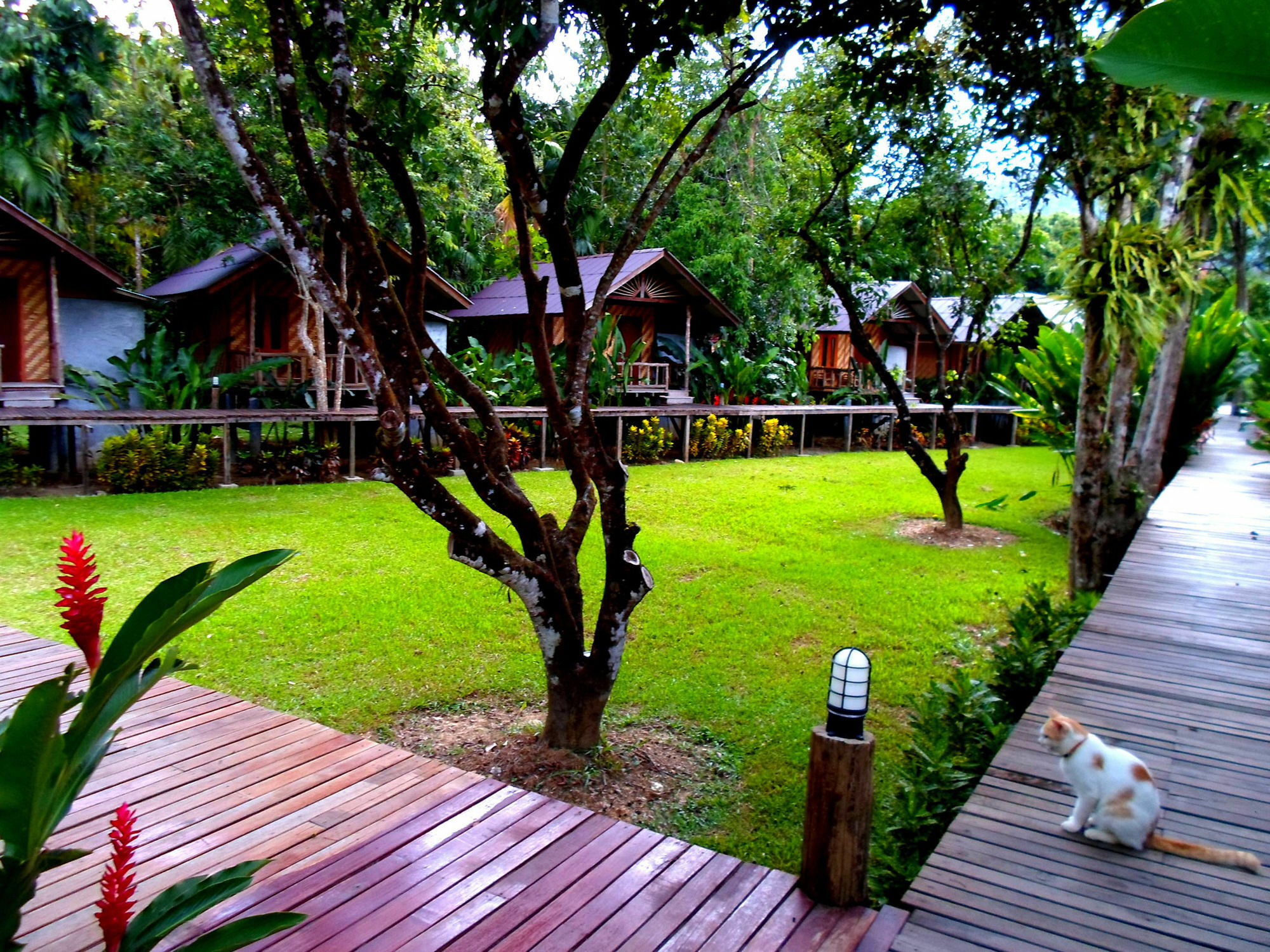 Khao Sok Cabana Resort Khao Sok National Park Zewnętrze zdjęcie