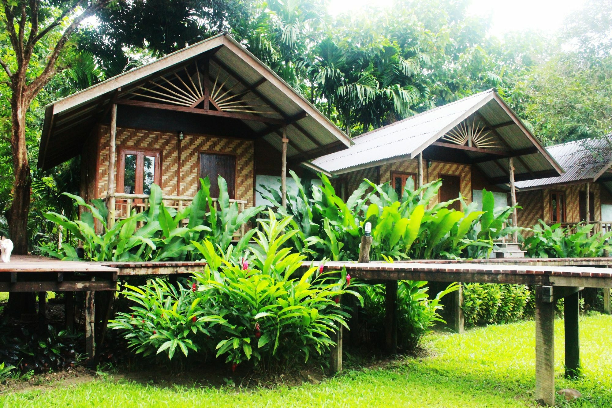 Khao Sok Cabana Resort Khao Sok National Park Zewnętrze zdjęcie